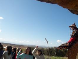 BRIÑAS DBH 1D-E